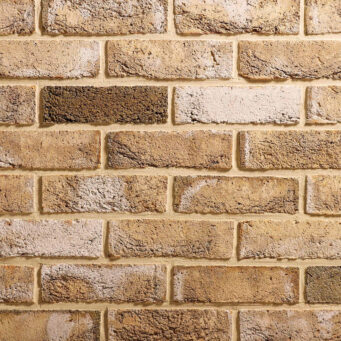 Mystique Blend Brick Slips