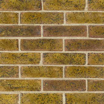 Daneshill Yellow Brick Slips